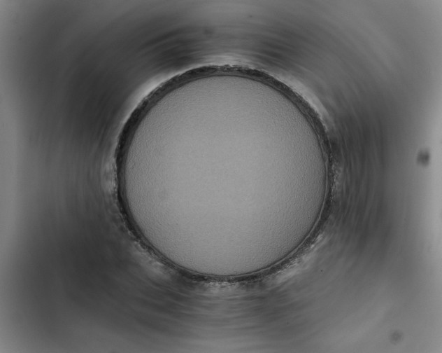 X0000102480927200808221704