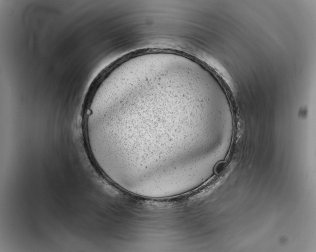 X0000102480928200808221704