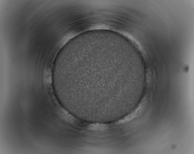 X0000102480929200808221704