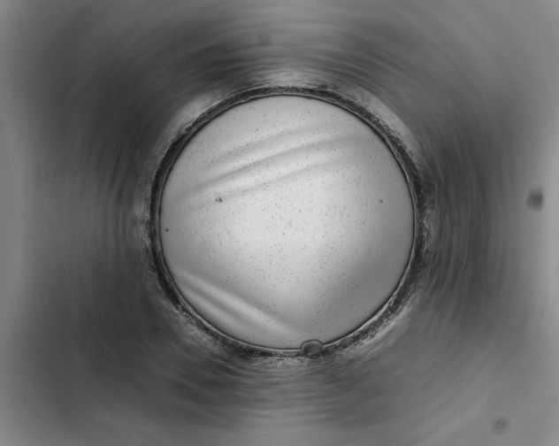 X0000102480930200808221704