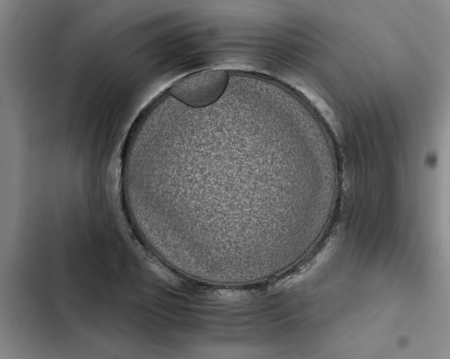 X0000102480933200808221704