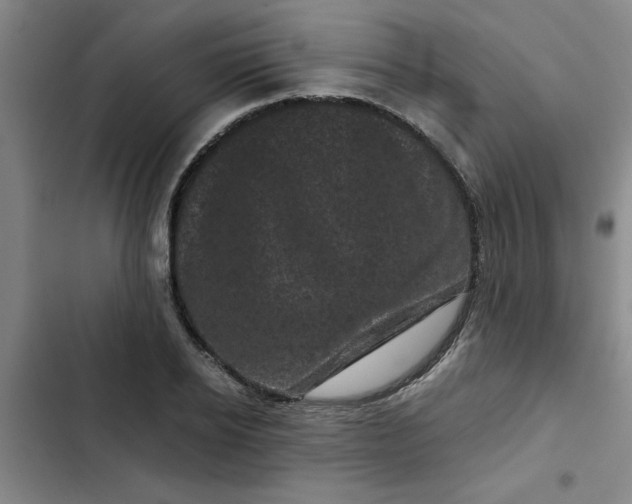 X0000102480934200808221704