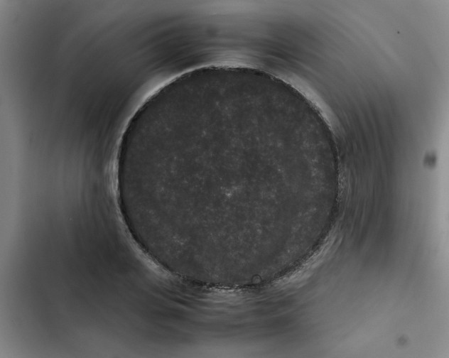 X0000102480935200808221704