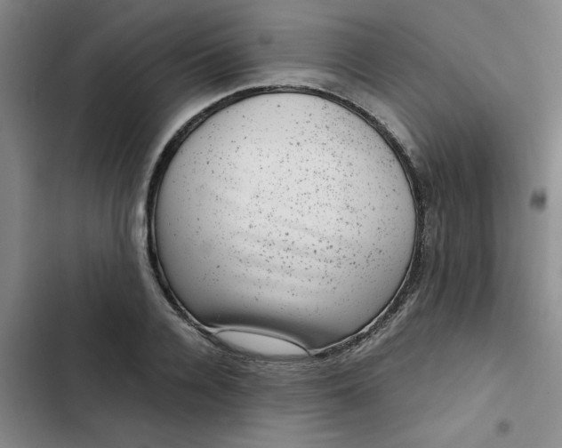 X0000102480936200808221704