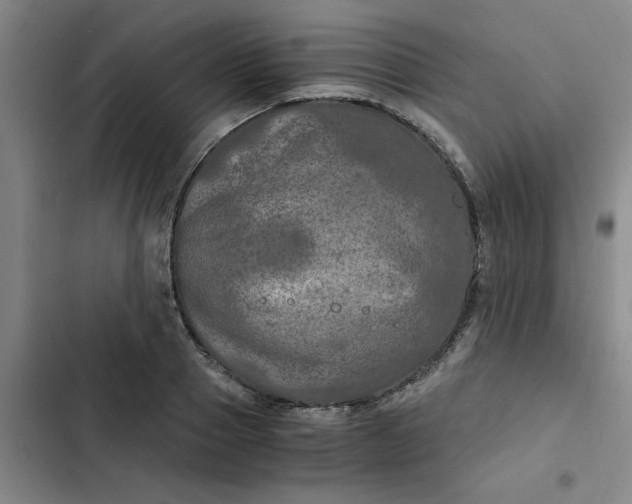 X0000102480937200808221704