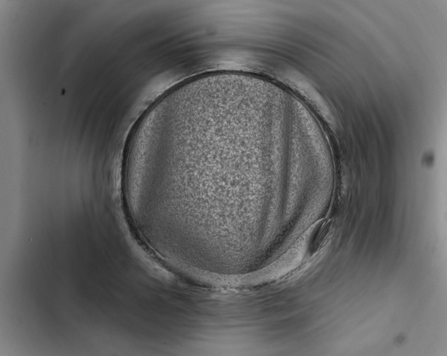 X0000102480938200808221704