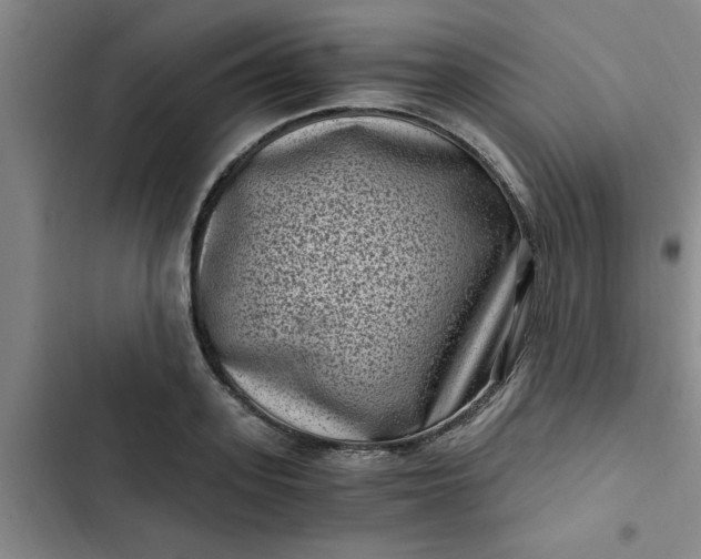 X0000102480939200808221704