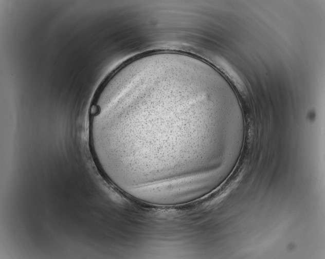 X0000102480940200808221704