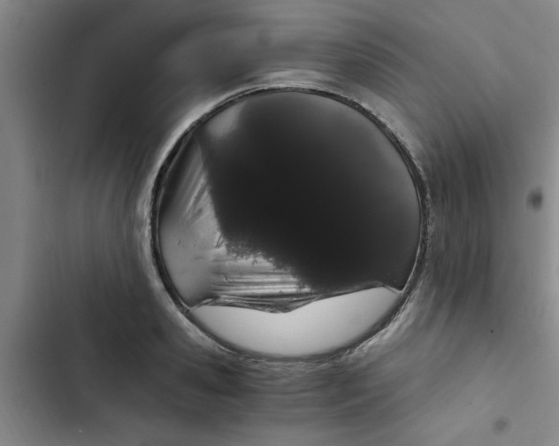 X0000102480941200808221704