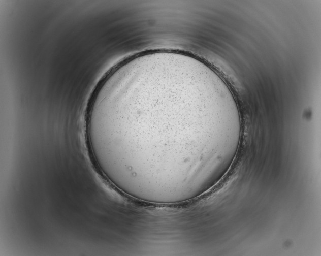 X0000102480942200808221704