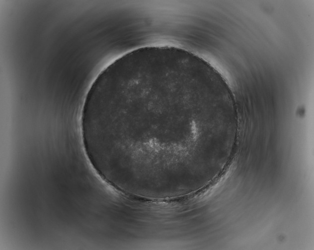 X0000102480943200808221704