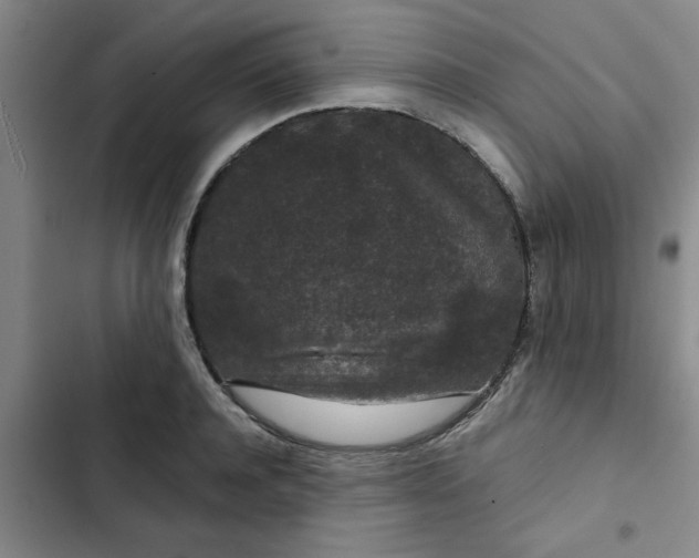 X0000102480944200808221704