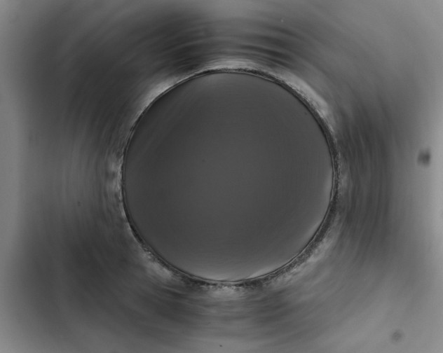 X0000102480945200808221704