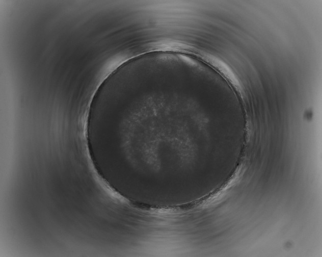 X0000102480946200808221704