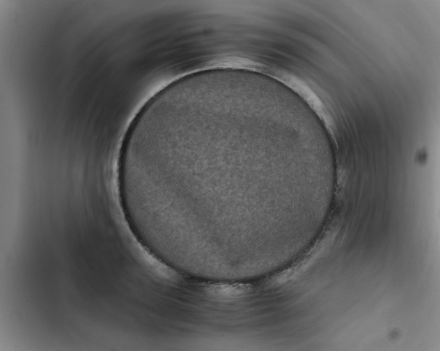 X0000102480947200808221704