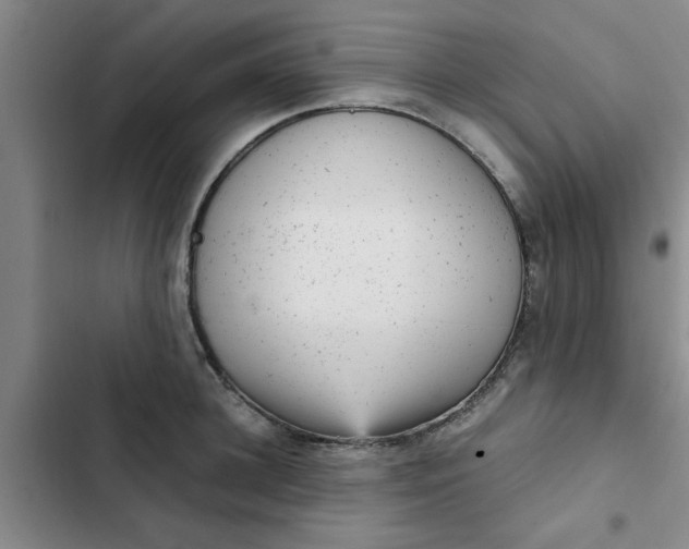 X0000102480948200808221704