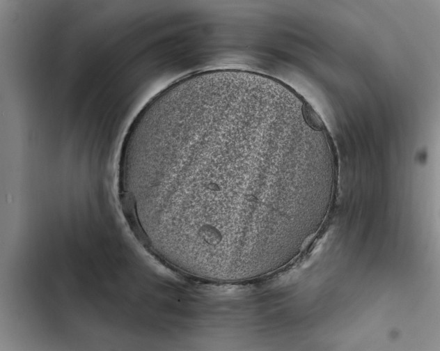 X0000102480949200808221704