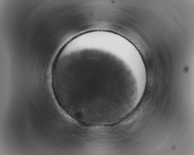 X0000102480950200808221704