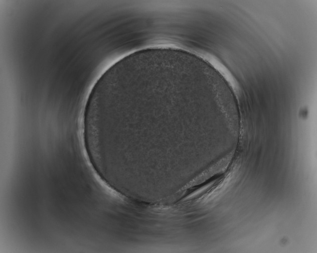 X0000102480951200808221704