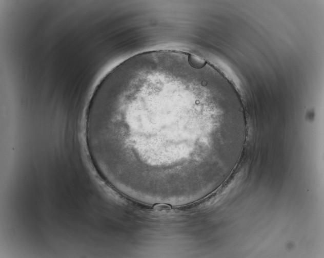 X0000102480952200808221704