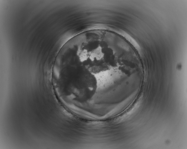 X0000102480953200808221704