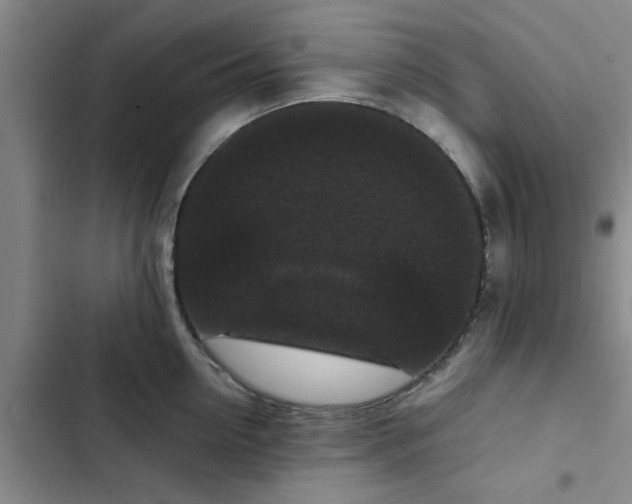 X0000102480954200808221704