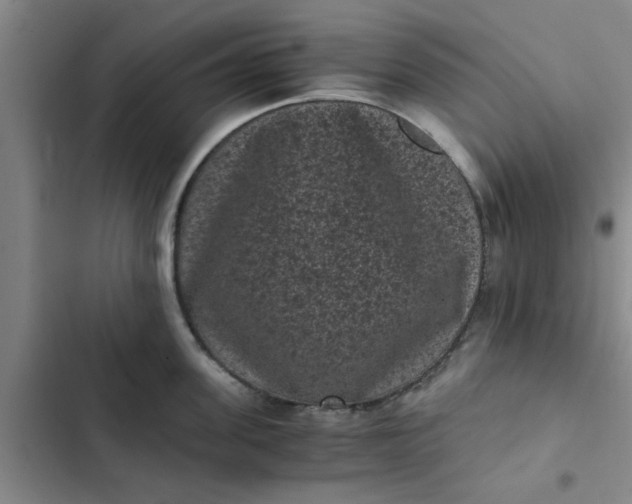 X0000102480955200808221704