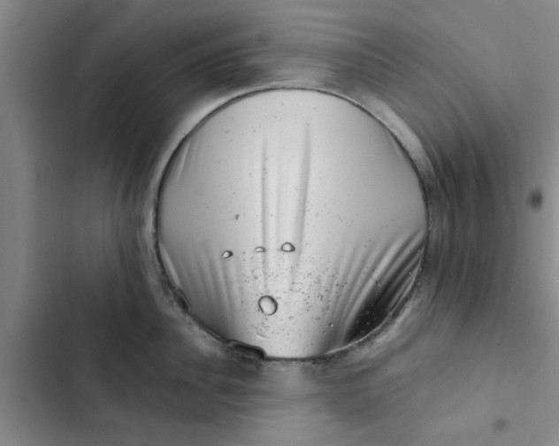 X0000102480956200808221704