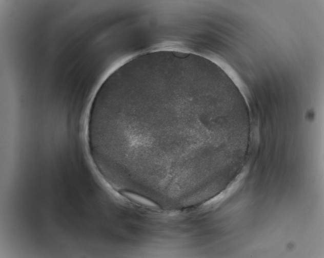 X0000102480957200808221704