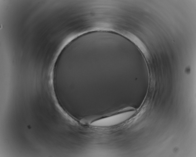 X0000102480958200808221704