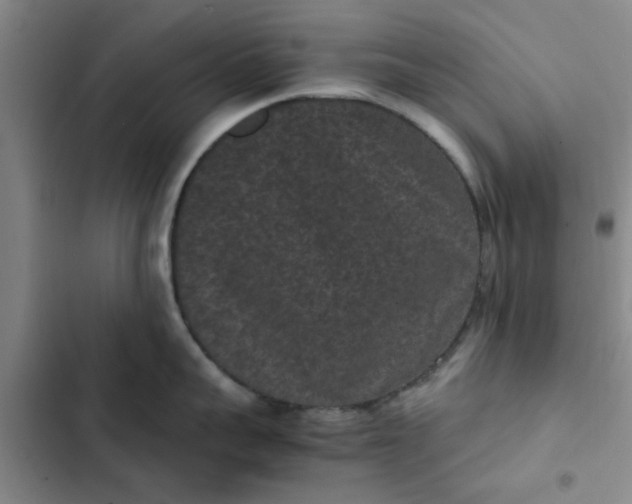 X0000102480959200808221704