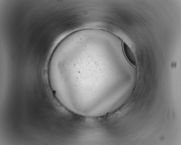 X0000102480960200808221704