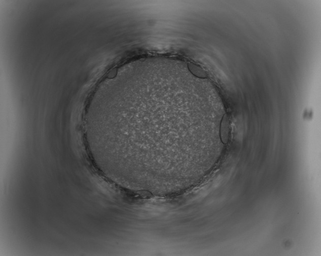 X0000102480961200808221703