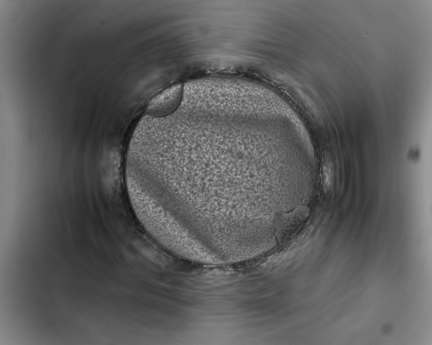 X0000102480964200808221703