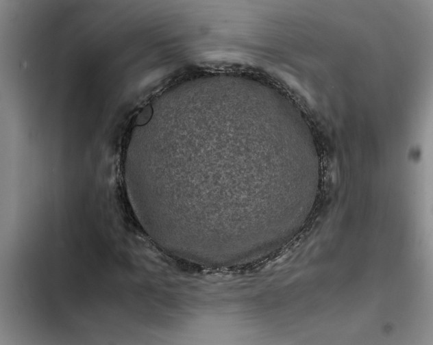 X0000102480965200808221703