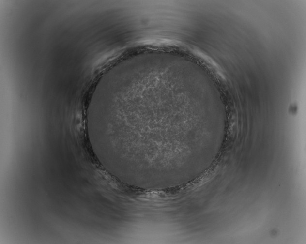 X0000102480966200808221703