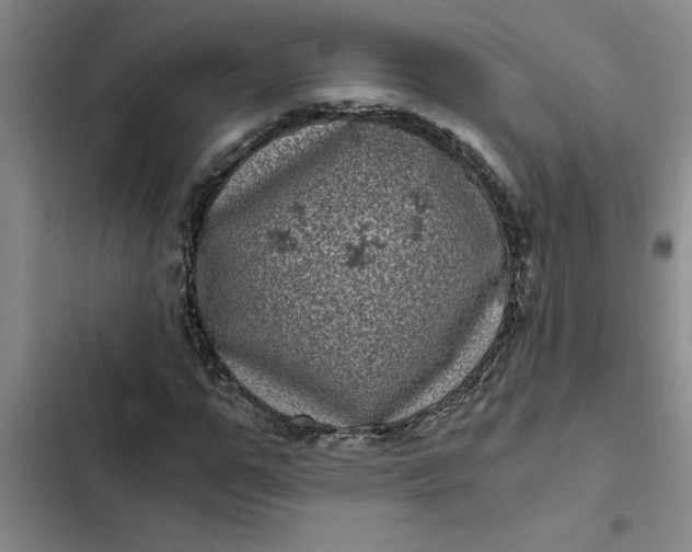 X0000102480967200808221703