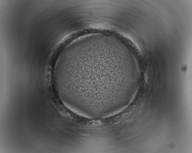 X0000102480968200808221703