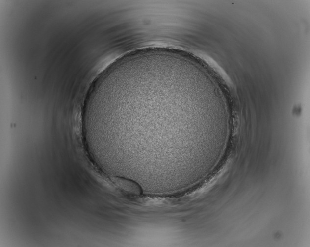 X0000102480969200808221703