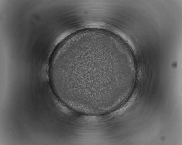 X0000102480970200808221703