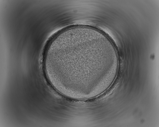 X0000102480971200808221703