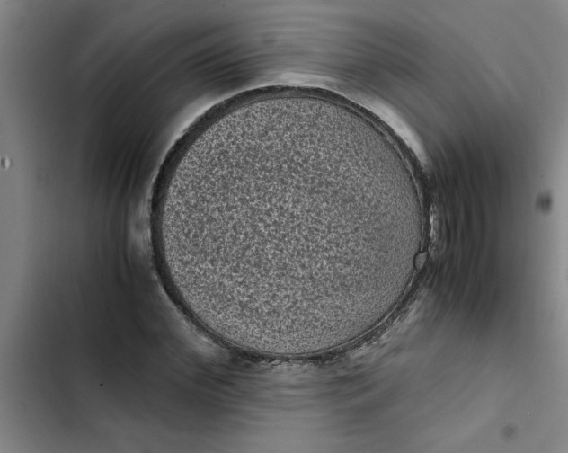 X0000102480972200808221703