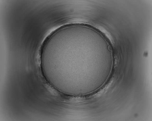 X0000102480973200808221703