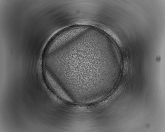 X0000102480976200808221703