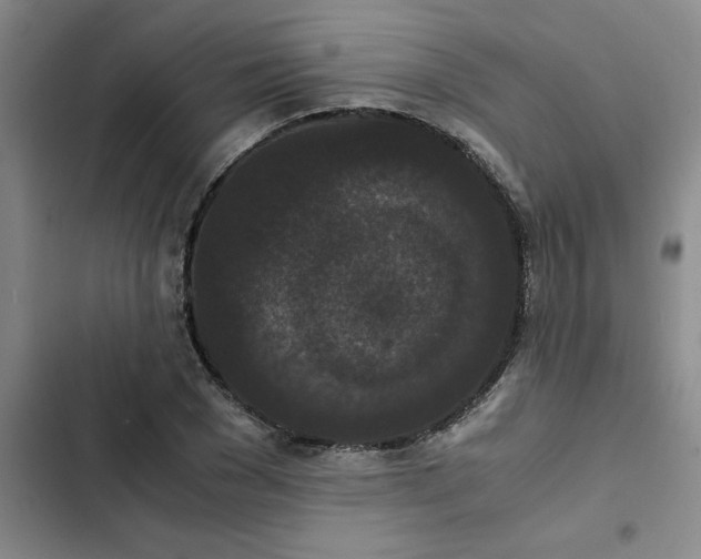 X0000102480977200808221703