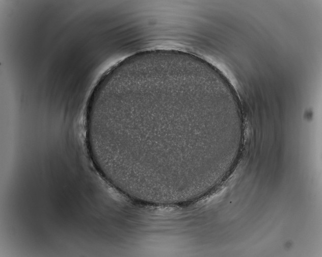 X0000102480979200808221703