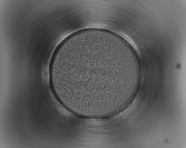 X0000102480980200808221703