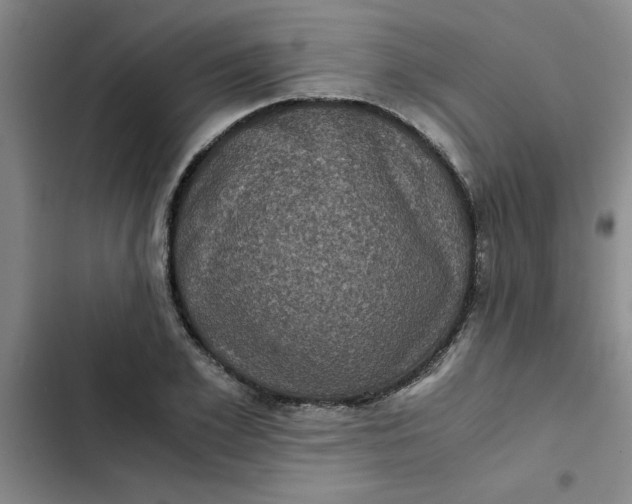 X0000102480981200808221703