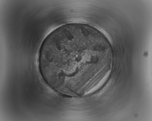 X0000102480983200808221703