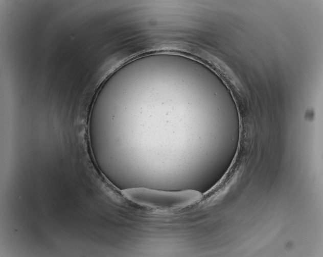 X0000102480985200808221703